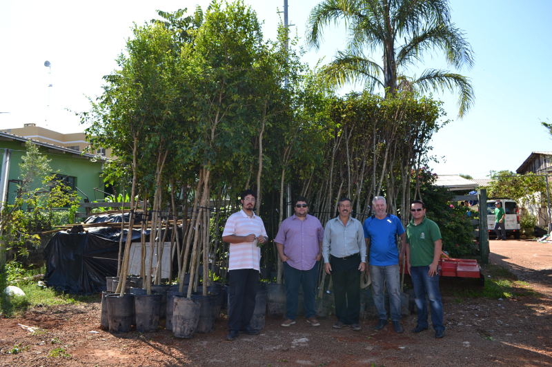 Sema realizará o plantio 400 árvores nativas